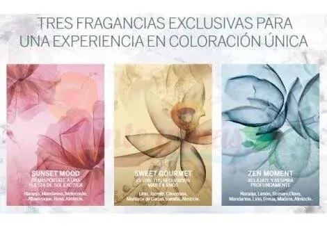 Color Sublime Mix Boost 24 Uds