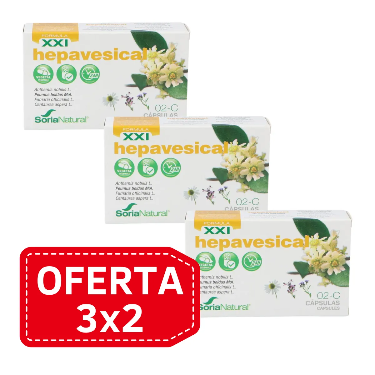 Pack 3x2 2C Hepavesical Lib. Prol. 30caps - Soria Natural