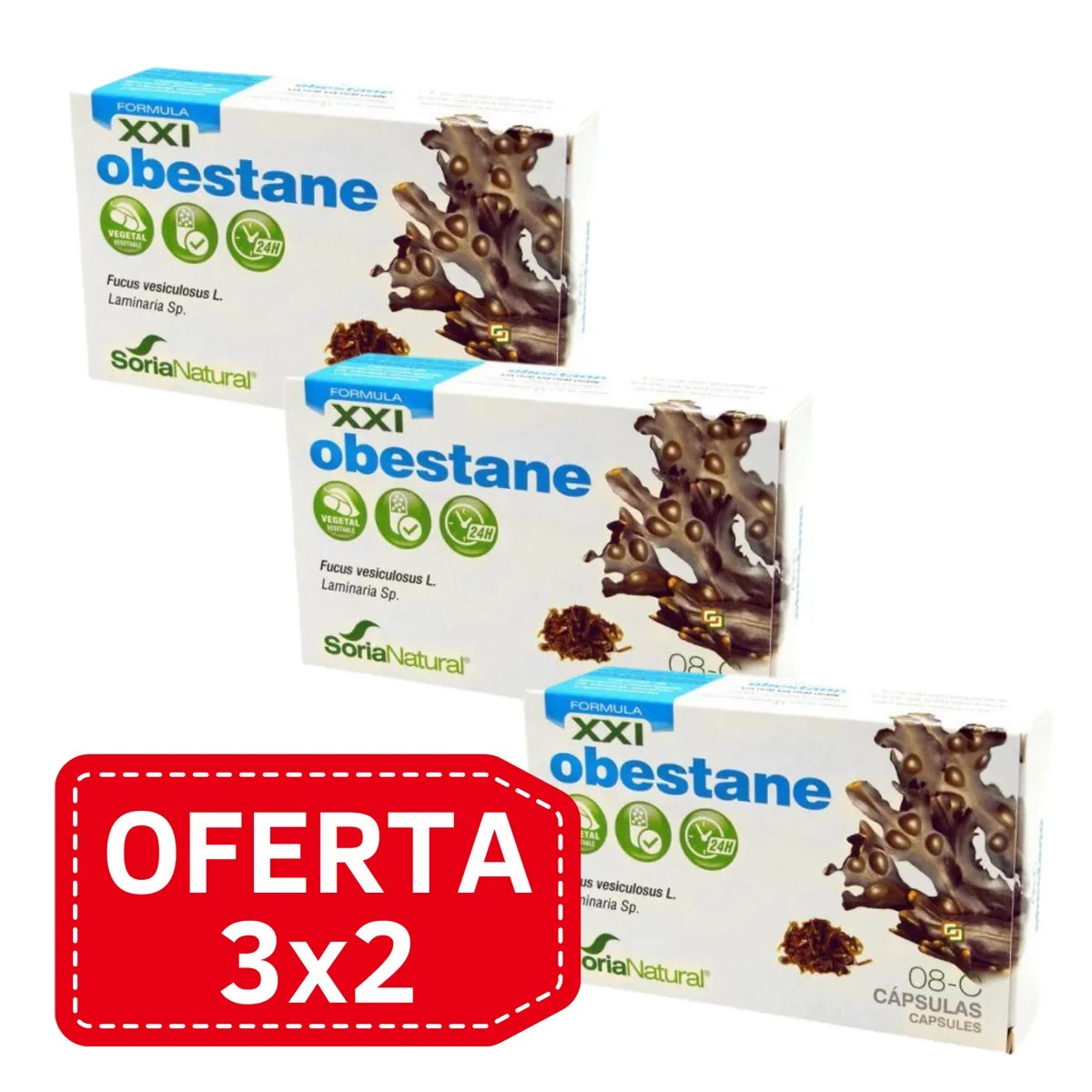 Pack 3x2 Caps. 8C Obestane Lib. Prol. 30caps Soria Natural
