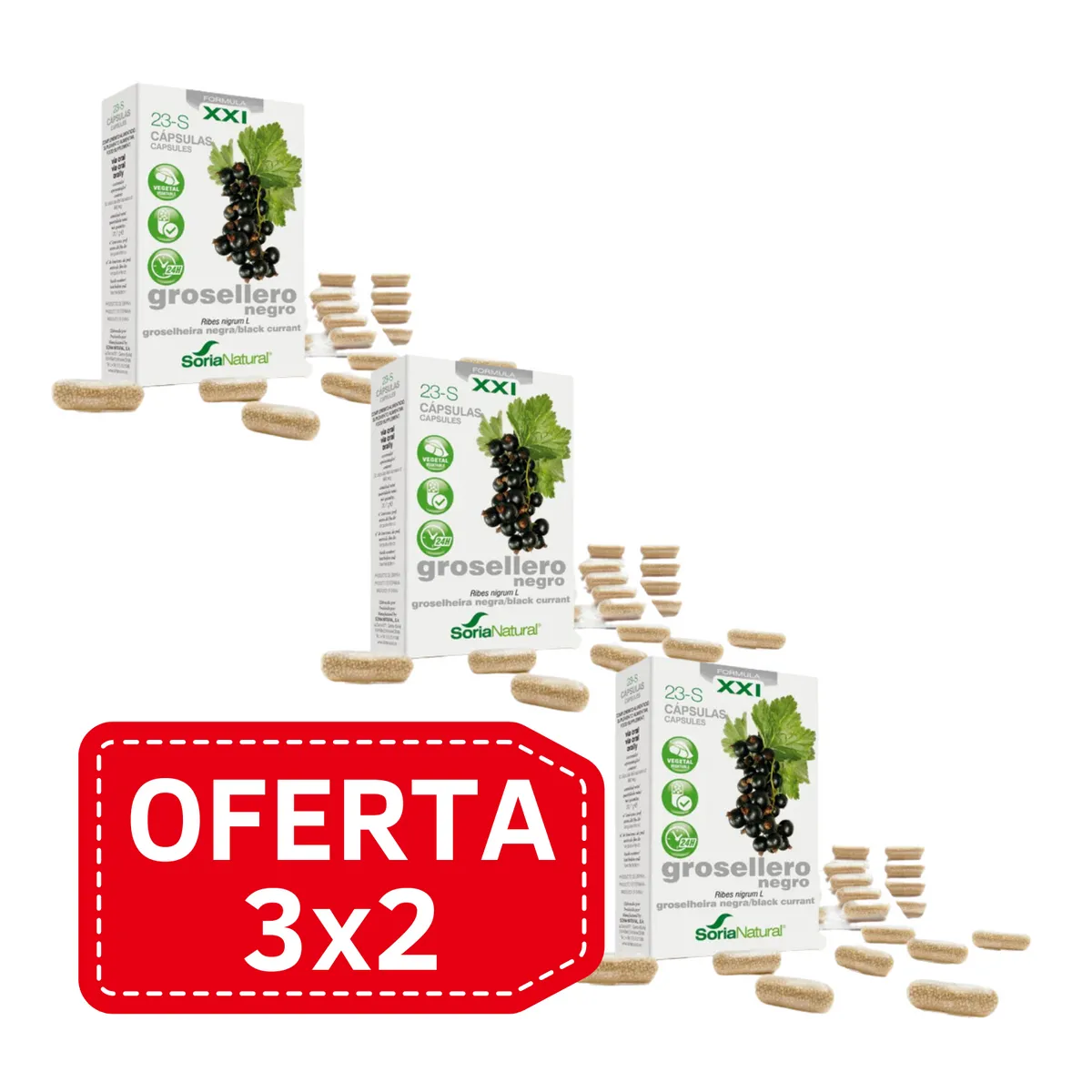 Pack 3x2 Capsulas 23S Grosellero Negro Lib. Prol. 30 caps. Soria Natural