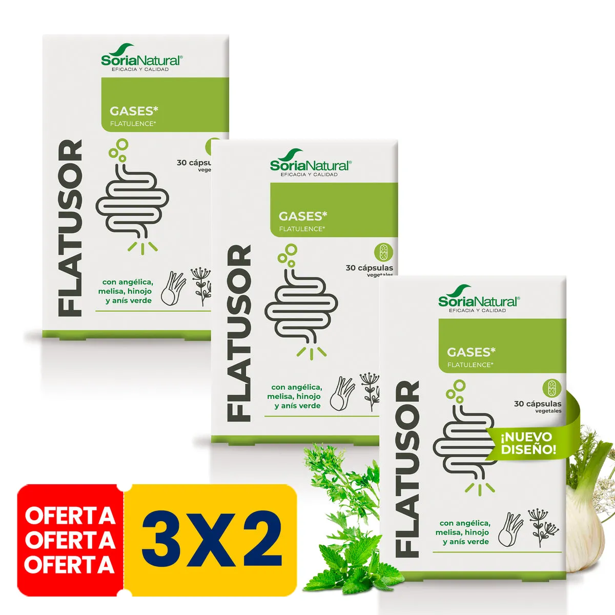 Pack 3x2 17C Flatusor 30 cápsulas Soria Natural