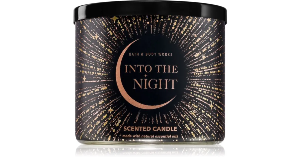 Bath & Body Works Into The Night scented candle 411 g