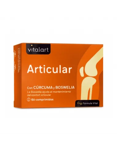 VITALART ARTICULAR 60 COMP