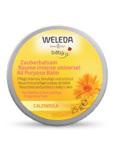 WELEDA BALSAMO MULTIUSOS INTENSIVO 25 G